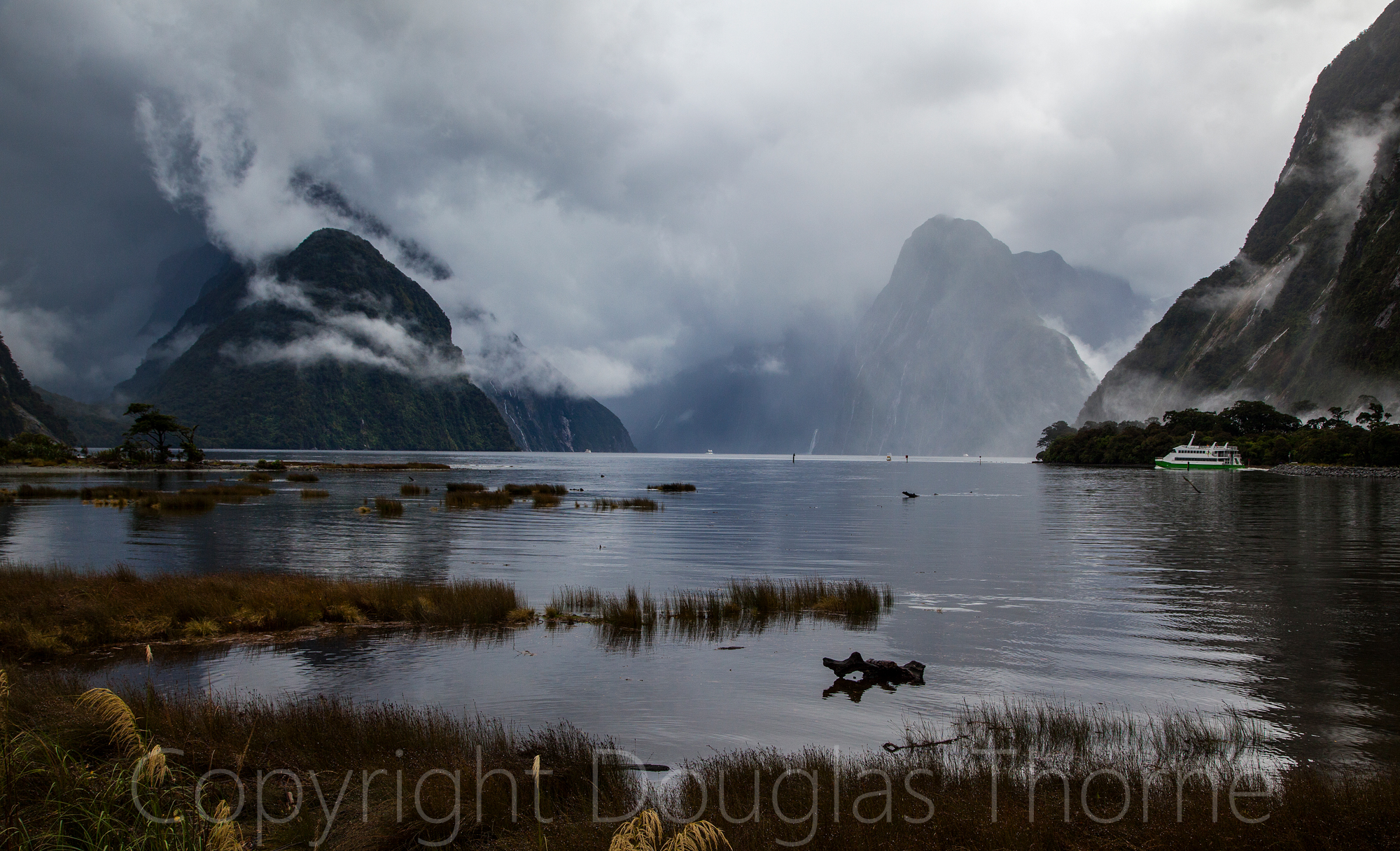 Milford Sound Rain Douglas Thorne Photography